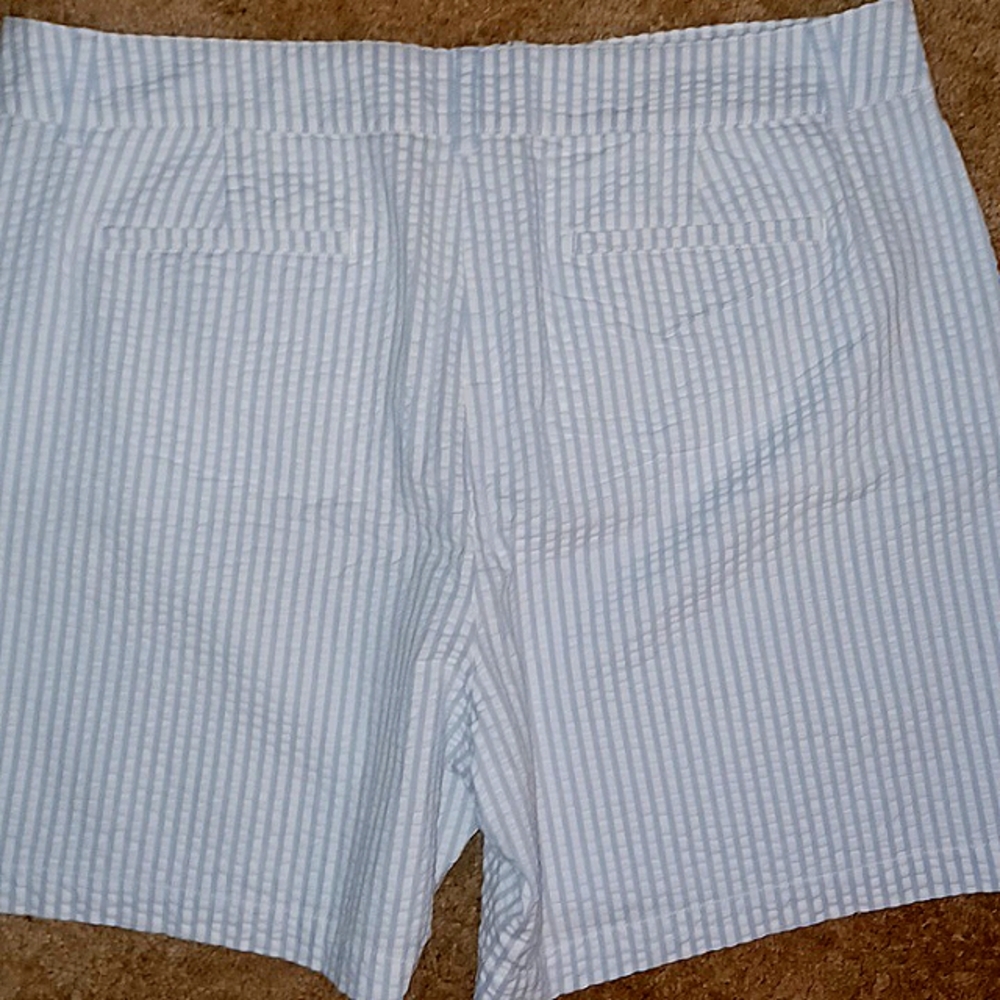 Shorts - Picture 2 of 4